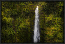 Load image into Gallery viewer, Akaka Falls, Hawaii
