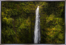 Load image into Gallery viewer, Akaka Falls, Hawaii
