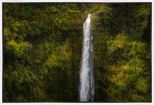 Load image into Gallery viewer, Akaka Falls, Hawaii
