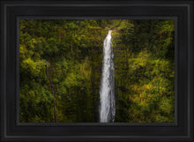Load image into Gallery viewer, Akaka Falls, Hawaii
