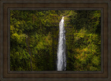 Load image into Gallery viewer, Akaka Falls, Hawaii
