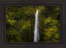 Load image into Gallery viewer, Akaka Falls, Hawaii
