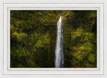 Load image into Gallery viewer, Akaka Falls, Hawaii
