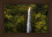 Load image into Gallery viewer, Akaka Falls, Hawaii
