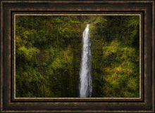 Load image into Gallery viewer, Akaka Falls, Hawaii
