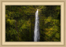 Load image into Gallery viewer, Akaka Falls, Hawaii
