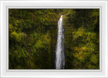 Load image into Gallery viewer, Akaka Falls, Hawaii
