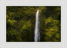 Load image into Gallery viewer, Akaka Falls, Hawaii
