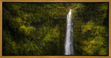Load image into Gallery viewer, Akaka Falls, Hawaii
