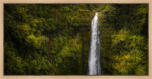 Load image into Gallery viewer, Akaka Falls, Hawaii
