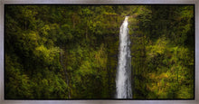 Load image into Gallery viewer, Akaka Falls, Hawaii
