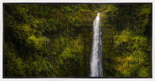 Load image into Gallery viewer, Akaka Falls, Hawaii
