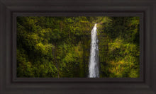 Load image into Gallery viewer, Akaka Falls, Hawaii
