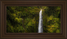 Load image into Gallery viewer, Akaka Falls, Hawaii
