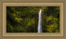 Load image into Gallery viewer, Akaka Falls, Hawaii
