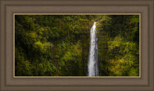 Load image into Gallery viewer, Akaka Falls, Hawaii
