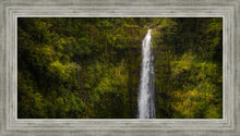 Load image into Gallery viewer, Akaka Falls, Hawaii
