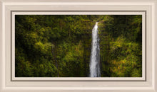 Load image into Gallery viewer, Akaka Falls, Hawaii
