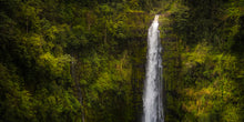Load image into Gallery viewer, Akaka Falls, Hawaii
