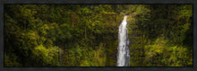 Load image into Gallery viewer, Akaka Falls, Hawaii
