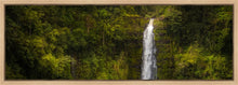 Load image into Gallery viewer, Akaka Falls, Hawaii
