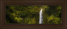 Load image into Gallery viewer, Akaka Falls, Hawaii
