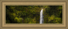 Load image into Gallery viewer, Akaka Falls, Hawaii

