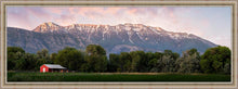 Load image into Gallery viewer, The Red Barn
