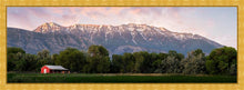 Load image into Gallery viewer, The Red Barn
