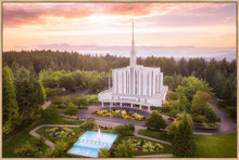 Load image into Gallery viewer, Seattle from on High
