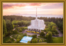 Load image into Gallery viewer, Seattle from on High
