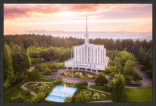 Load image into Gallery viewer, Seattle from on High
