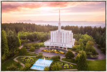 Load image into Gallery viewer, Seattle from on High
