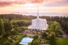 Load image into Gallery viewer, Seattle from on High
