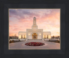 Load image into Gallery viewer, Helena Montana Glorious
