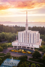 Load image into Gallery viewer, Seattle from on High
