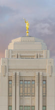 Load image into Gallery viewer, Meridian Moroni
