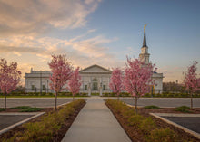 Load image into Gallery viewer, Hartford Temple Pathway
