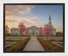 Load image into Gallery viewer, Hartford Temple Pathway
