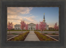 Load image into Gallery viewer, Hartford Temple Pathway
