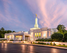 Load image into Gallery viewer, Louisville House of Peace
