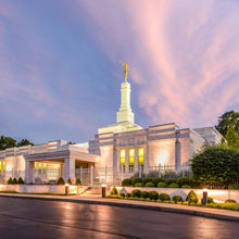 Load image into Gallery viewer, Louisville House of Peace

