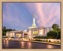 Load image into Gallery viewer, Louisville House of Peace
