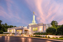 Load image into Gallery viewer, Louisville House of Peace
