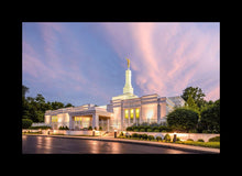 Load image into Gallery viewer, Louisville House of Peace
