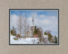 Load image into Gallery viewer, Boston Winter Morning
