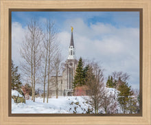 Load image into Gallery viewer, Boston Winter Morning
