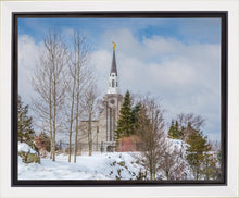Load image into Gallery viewer, Boston Winter Morning

