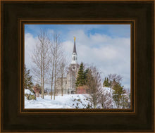 Load image into Gallery viewer, Boston Winter Morning

