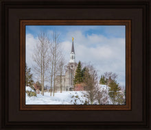 Load image into Gallery viewer, Boston Winter Morning
